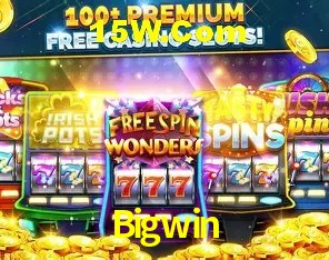 Sistemas de Segurança Bigwin