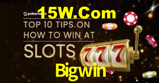 Programa VIP Bigwin