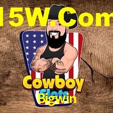 Bonus Features Bigwin