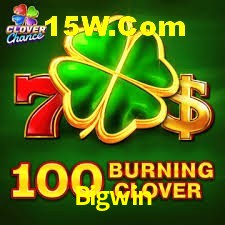 Player Reviews Bigwin