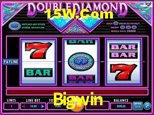 Security Systems Bigwin
