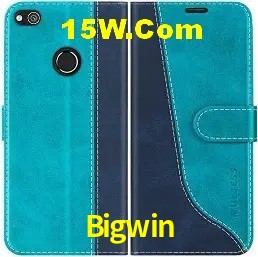 Player Reviews Bigwin